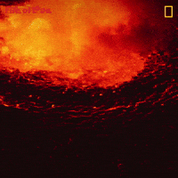 National Geographic Film GIF by Nat Geo Wild
