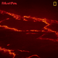 National Geographic Film GIF by Nat Geo Wild