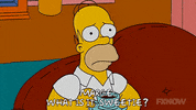 Episode 2 GIF by The Simpsons