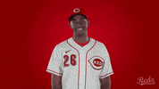 Baseball Mlb GIF by Cincinnati Reds