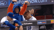 Happy Major League Baseball GIF by New York Mets