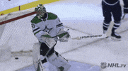 angry ice hockey GIF by NHL