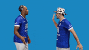 Fiat Minas GIF by Minas Tênis Clube