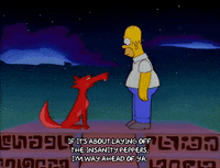 homer simpson GIF