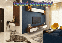 My Pet Cats GIF