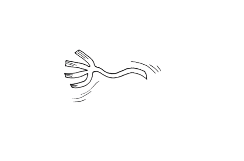 Animated Sticker