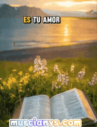 Buenos Dias Amigas GIF by Murcianys LLC