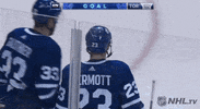 nhl sports hockey nhl ice hockey GIF