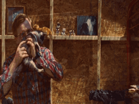 cats morning GIF