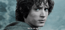 Lord Of The Rings GIF by Maudit