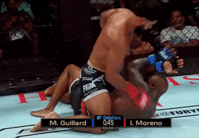 giphy.gif