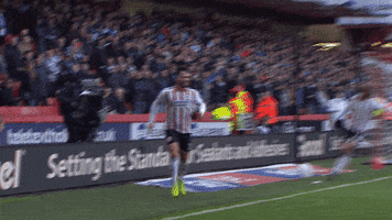 Sheffield United Soccer GIF by Sheffield United Football Club