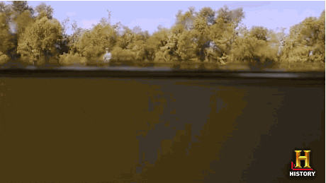 history rules GIF by Swamp People
