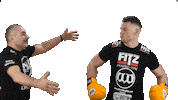 Knockout Punch Sticker by Fitz Gym