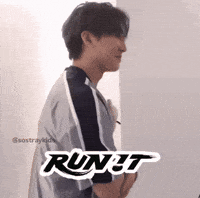 Stray Kids Correr GIF