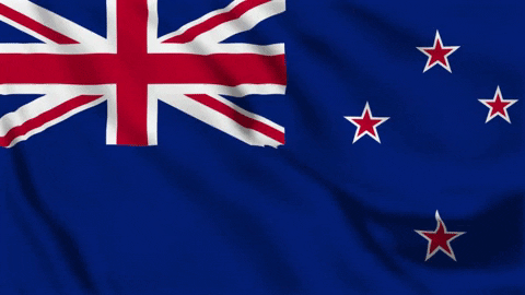 Website_Angels giphygifmaker flag new zealand kiwi GIF