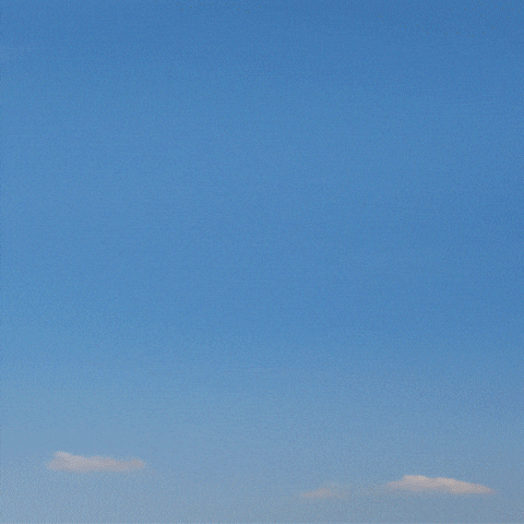 Lama GIF by Fio banka