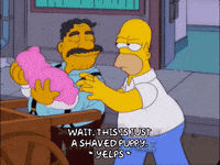 homer simpson GIF