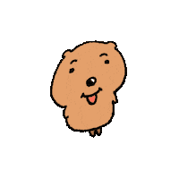 Quokka Sticker