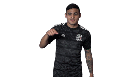 mexico national team football Sticker by MiSelecciónMX