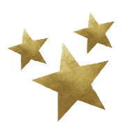 Star Gold Sticker by Spaghetti & Stars