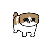 Cat Ggomo Sticker