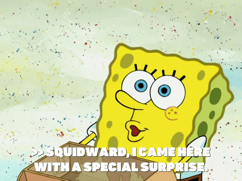 season 6 pet or pets GIF by SpongeBob SquarePants