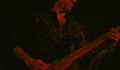 nouhisnomad bass nomad bassist darius GIF