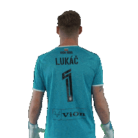 Football Soccer Sticker by Fortuna Liga