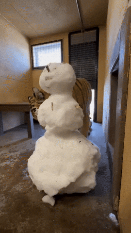 cuteanimalland giphyupload GIF