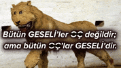 Galatasaray Gs GIF