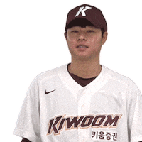 키움히어로즈 Sticker by Kiwoom Heroes Baseball Club