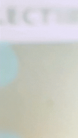 Mikuhatsune GIF by Youtooz