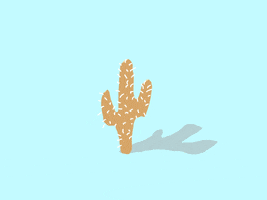 artofmadeleine desert cactus stillness aom GIF