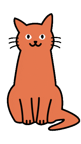 respekTiere giphyupload cat cats animal Sticker