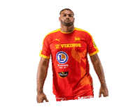 lesvikingsdecaen handball lnh proligue caen Sticker