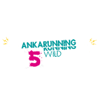 Party Anka Sticker by ANKARUNNING