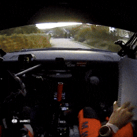 Crashing Car Crash GIF by FIA World Rally Championship