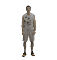 Ing All Star Sticker by Türkiye Basketbol Federasyonu