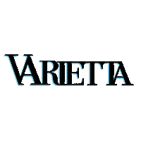 Varietta logo blink va virtual assistant Sticker