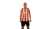 Dalsgaard Sticker by Brentford FC