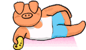 pig watching Sticker by Doghero