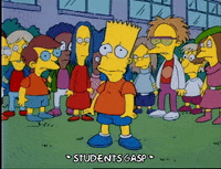 Season 1 GIF by The Simpsons