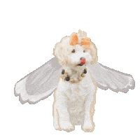 Angel Dog Happy Pup Sticker