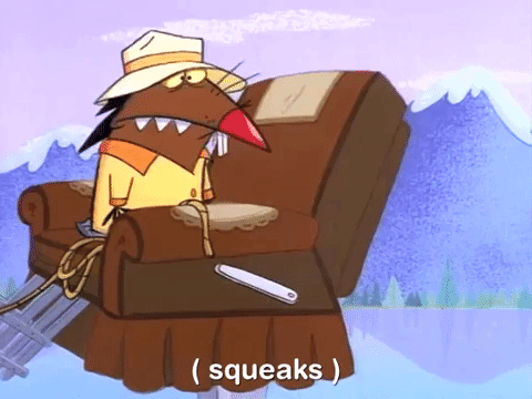 nickrewind giphydvr nicksplat angry beavers giphyab006 GIF