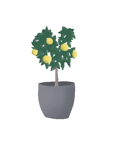 Maximeee giphyupload tree plant fruit Sticker