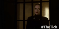 season 1 GIF by The Tick