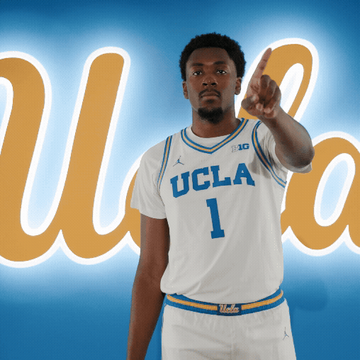 UCLAMBB giphyupload book block nonono GIF