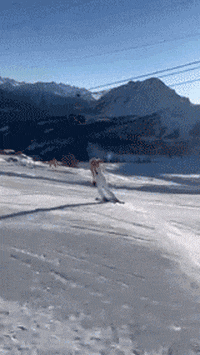 SerreChevalierOfficiel  GIF
