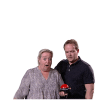 Radio Fijnfisjenie Sticker by Omroep Brabant